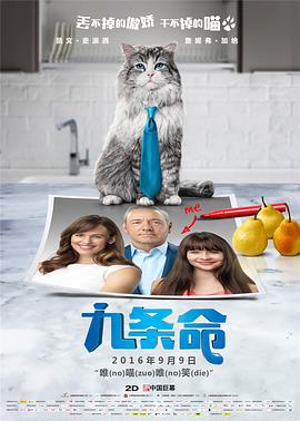 大鸟十八