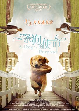 慢慢出轨