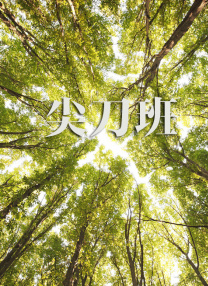 僧侣之夜在线观看
