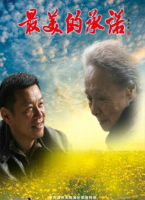 雷电将军被c