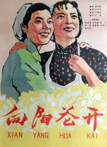 精品福利一区二区在线观看