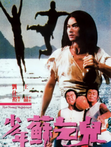 久久婷婷丁香