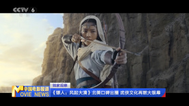 国内久久精品视频